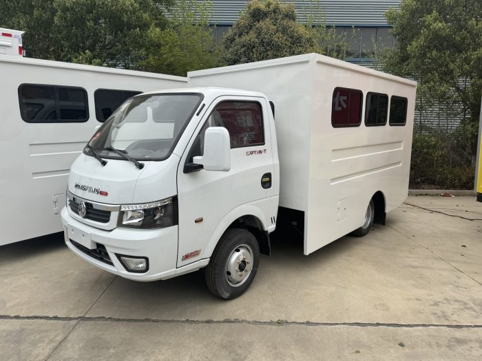 CLW Bus - Image 3